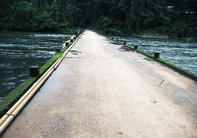 Bridge Connecting the Town and Forest