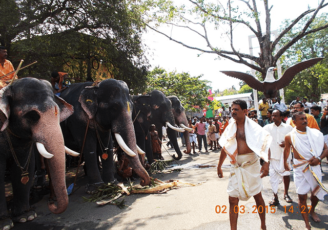 Guruvayur Aanayottam