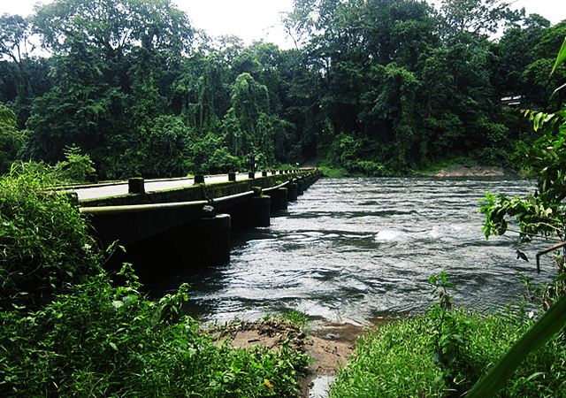 Pooyamkutty Bridge