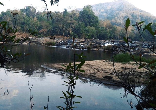 Pooyamkutty River