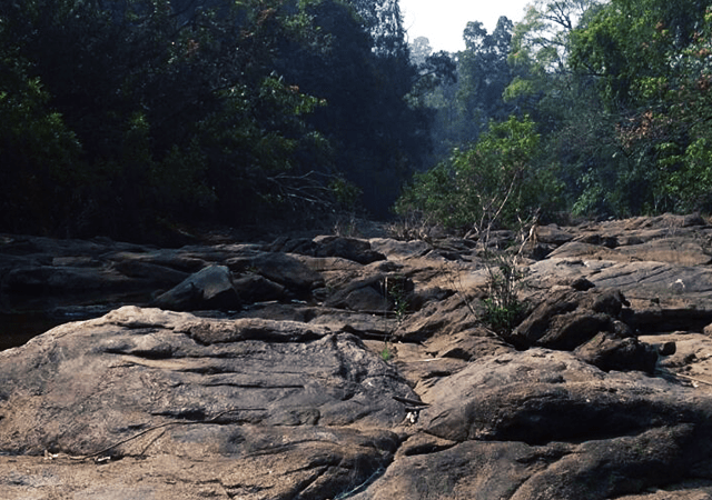 Trekking Path