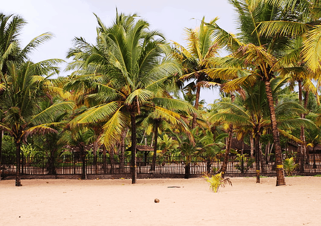 Mararikulam Shoreline