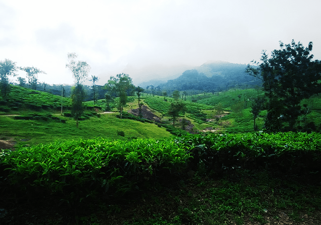 Natural Beauty of Kollengode