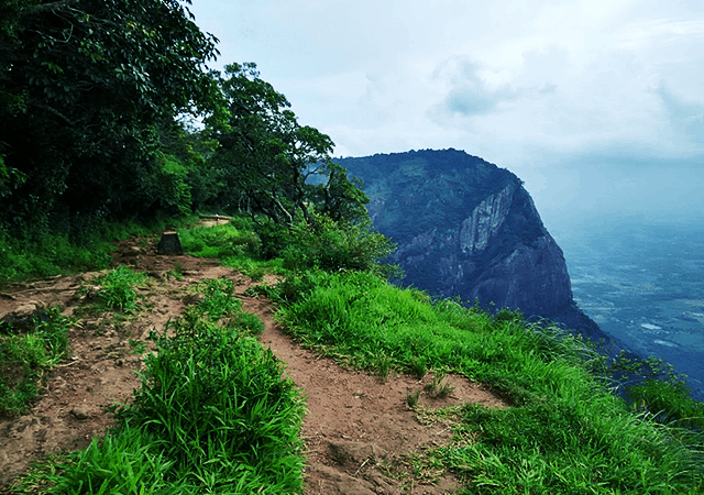 Trekking Route at Kollengode