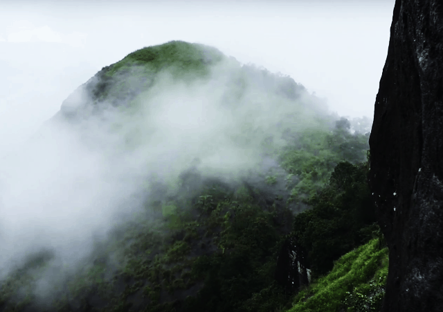 Fog at Kattadikadavu