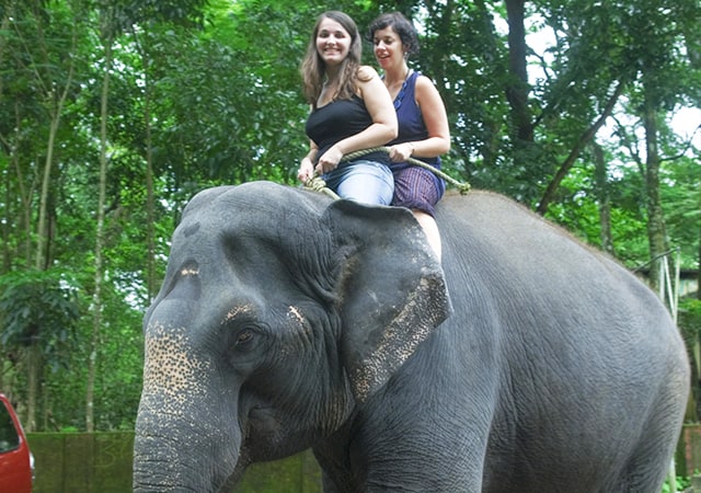 Riding-the-elephant