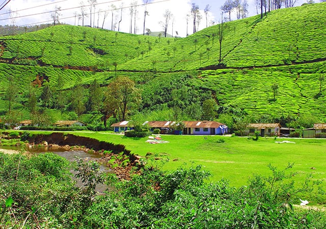 Walking-along-verdant-hill-stations