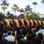 Elephants and Kerala Culture