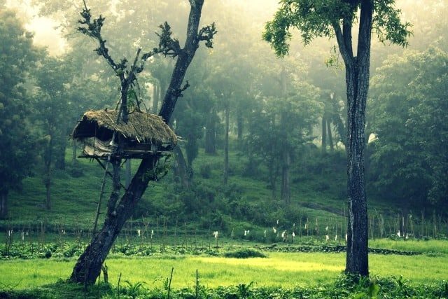 Hd Wallpapers For Mobile Kerala