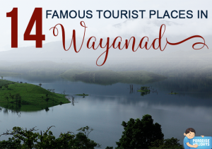 14 Famous Tourist Places in Wayanad - Paradise Holidays Blog