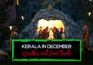 Kerala in December Weather and Event Guide