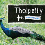 Tholpetty