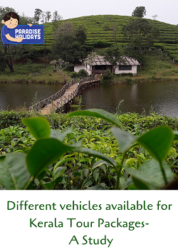 Different vehicles available for Kerala Tour Packages- A Study