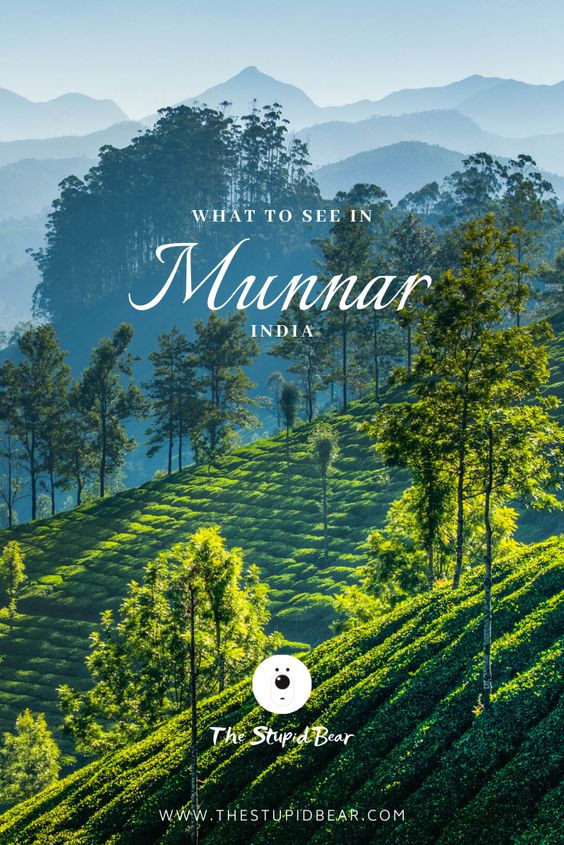 travel essay about munnar