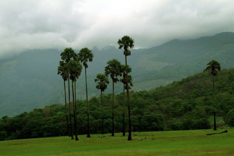 Kava viewpoint scenic set at Palakkad Kerala tour packages