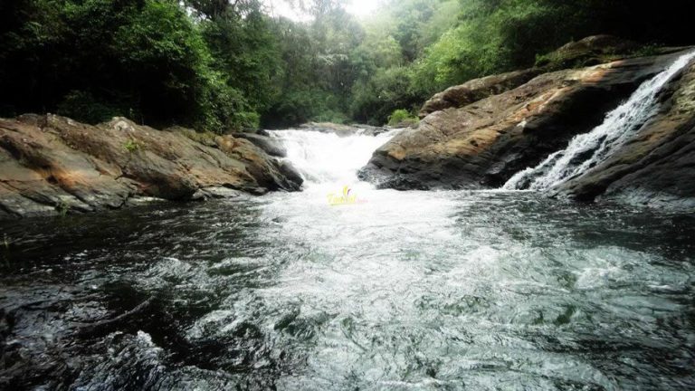 Dhoni Waterfalls trekking experience Palakkad Kerala tour packages