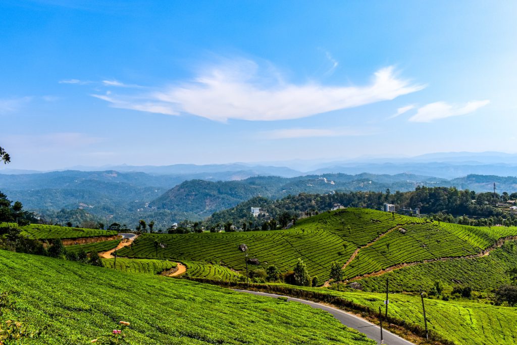 Kerala tour packages showcasing tea plantations in Munnar and Wayanad