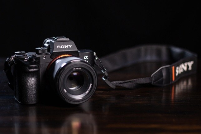Sony Alpha ILCE-7C mirrorless camera for Kerala travel photography