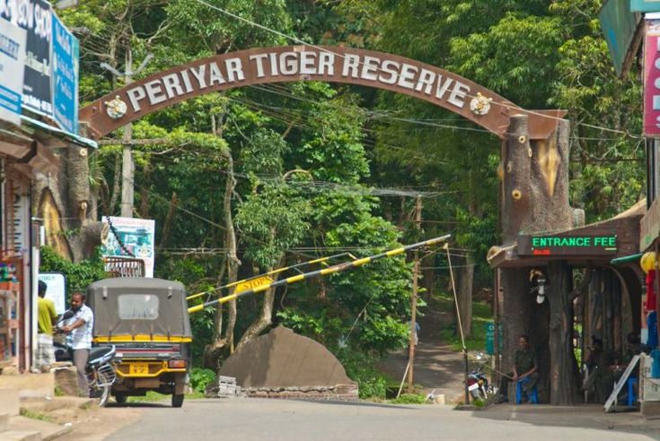 Wild elephants in Periyar Wildlife Sanctuary – Thekkady Kerala tour packages