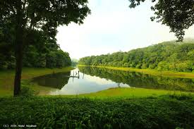 Thekkady Periyar Wildlife Sanctuary boating - 6 days 5 nights Kerala tour
