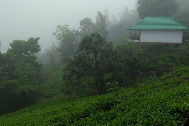 Boating at Pookode Lake, Vythiri – romantic Kerala hill getaway