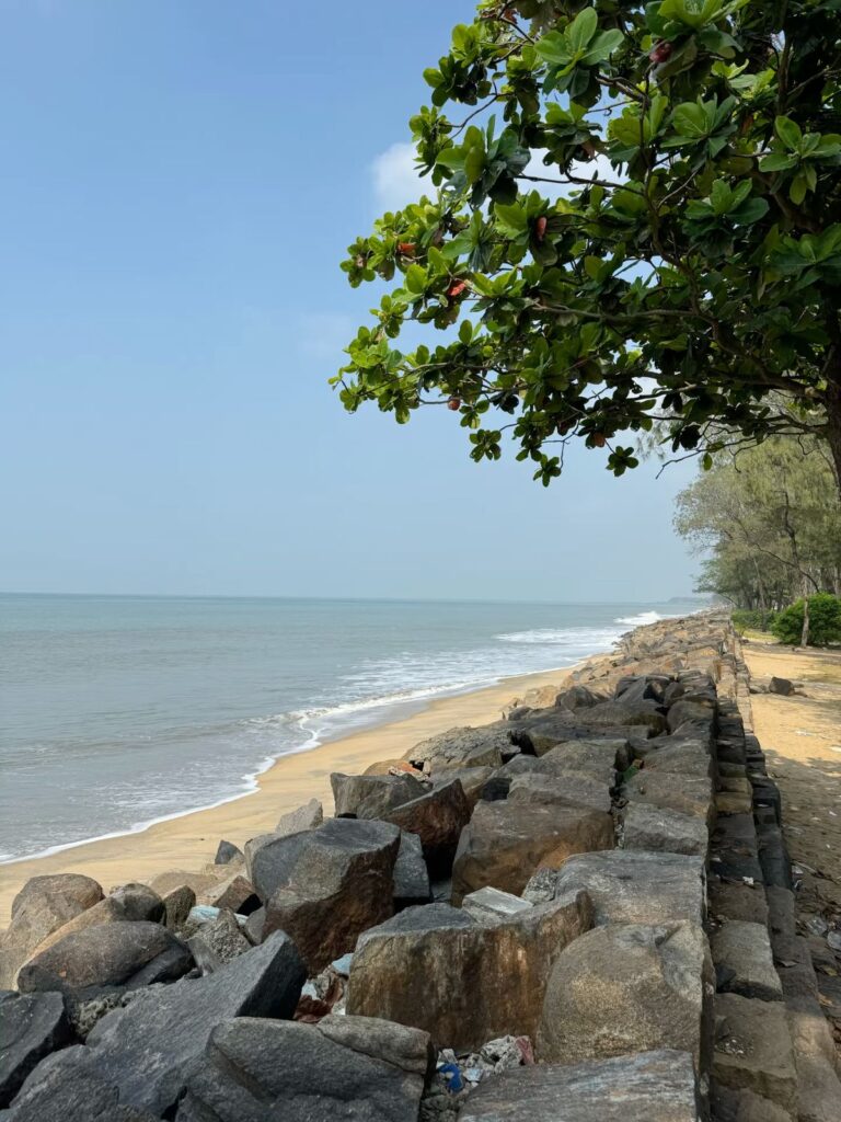 Cherai Beach family‑friendly coast in December Kerala tour packages