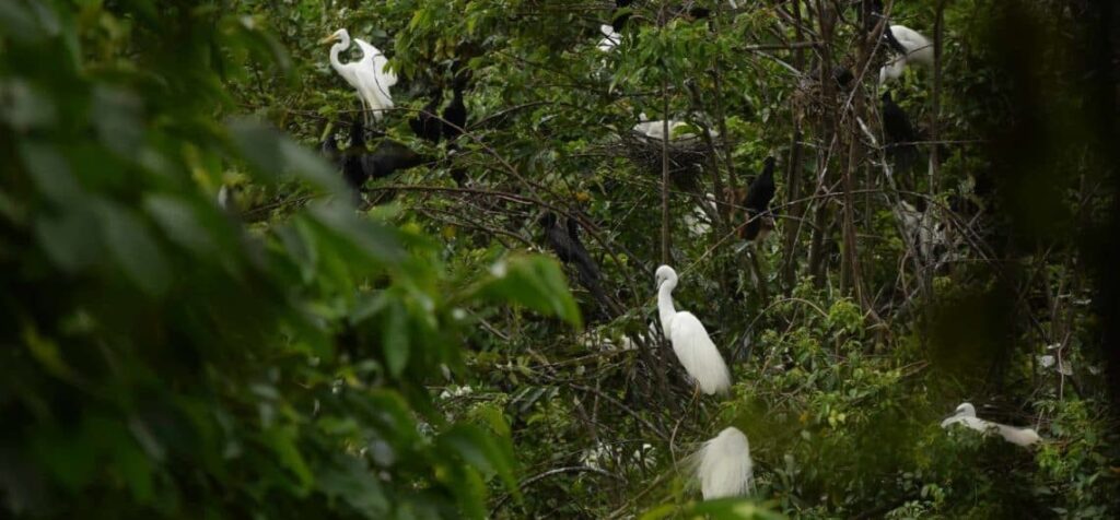 Relaxed Kerala journey in February focused on nature and comfort