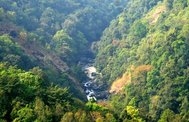 Silent Valley buffer zone nature walk with Kerala tour packages