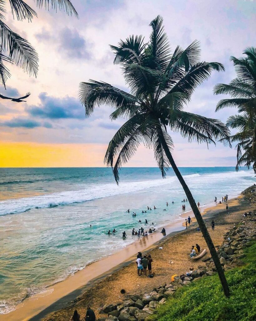 Tropical beach in Kerala lined with coconut palm trees