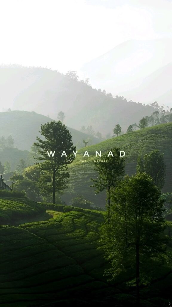 Things to do in Wayanad in summer with scenic hill views and nature experiences in Kerala