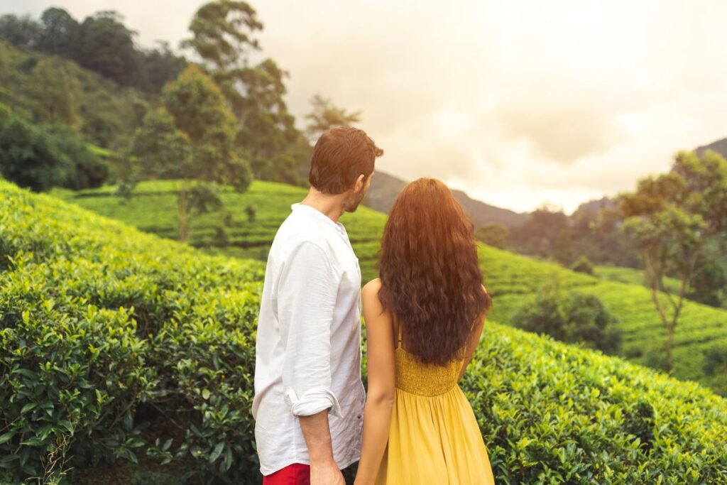 Kerala honeymoon packages for summer romantic travel destination