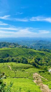 Thekkady Periyar wildlife sanctuary hill destination
