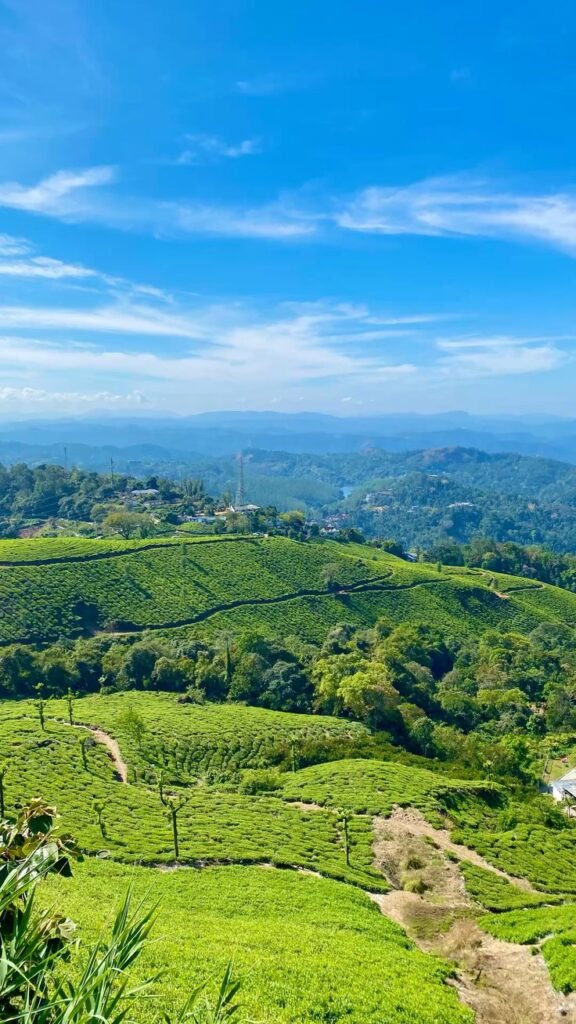 Thekkady Periyar wildlife sanctuary hill destination