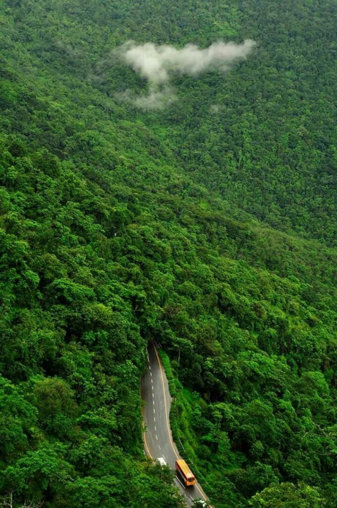 Wayanad hill station Kerala summer travel destination