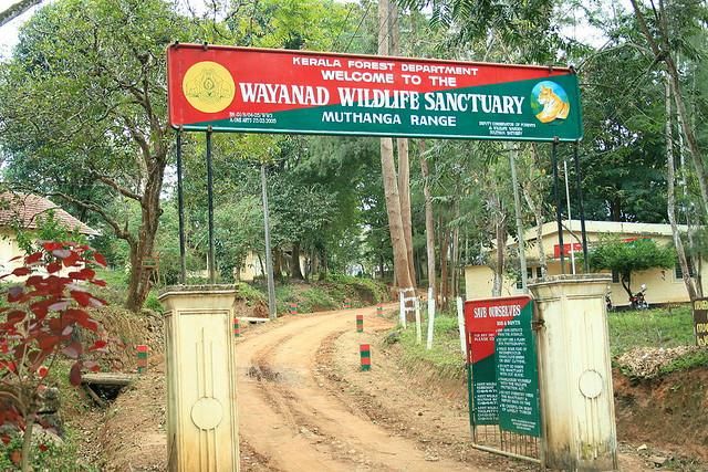 Wayanad wildlife sanctuary safari Kerala summer travel
