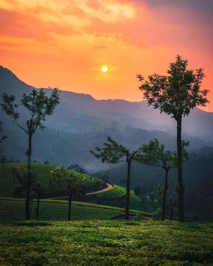 Kerala summer travel weather landscape
