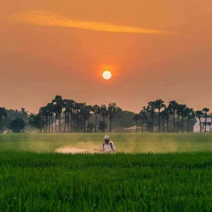 Kerala summer heat travel mistake