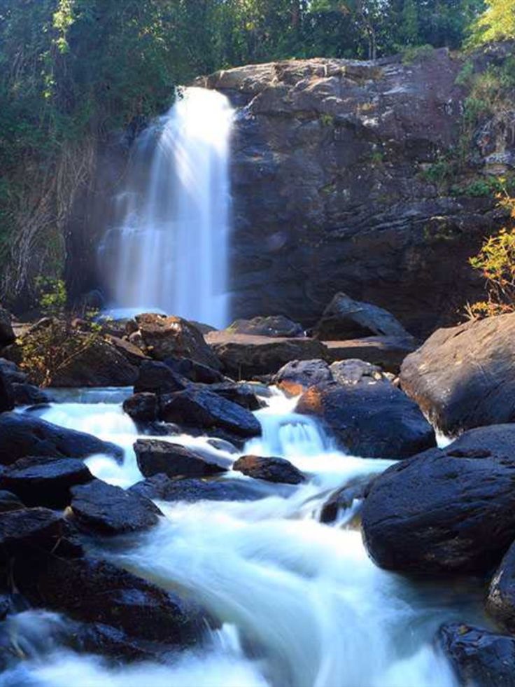 Soochipara Waterfalls in Wayanad during summer season surrounded by greenery