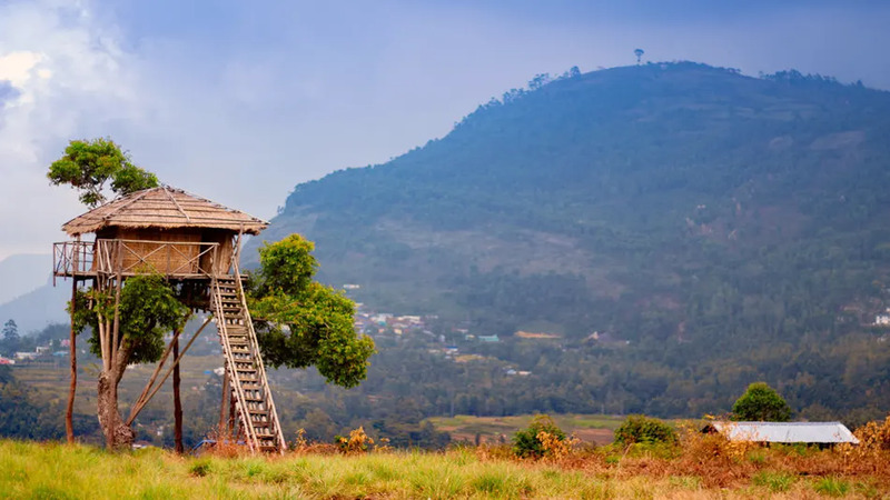 Marayoor Village Experience