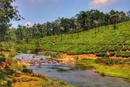 Valparai