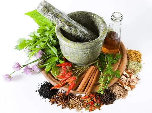 Ayurvedic Treatment
