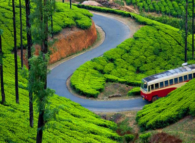 Kerala Group Tour Package